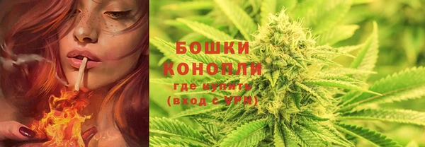 бошки Волоколамск