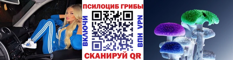 Псилоцибиновые грибы Psilocybine cubensis  где купить наркоту  Калтан 